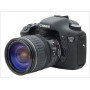 השכרת מצלמה קנון Canon EOS  7D 
